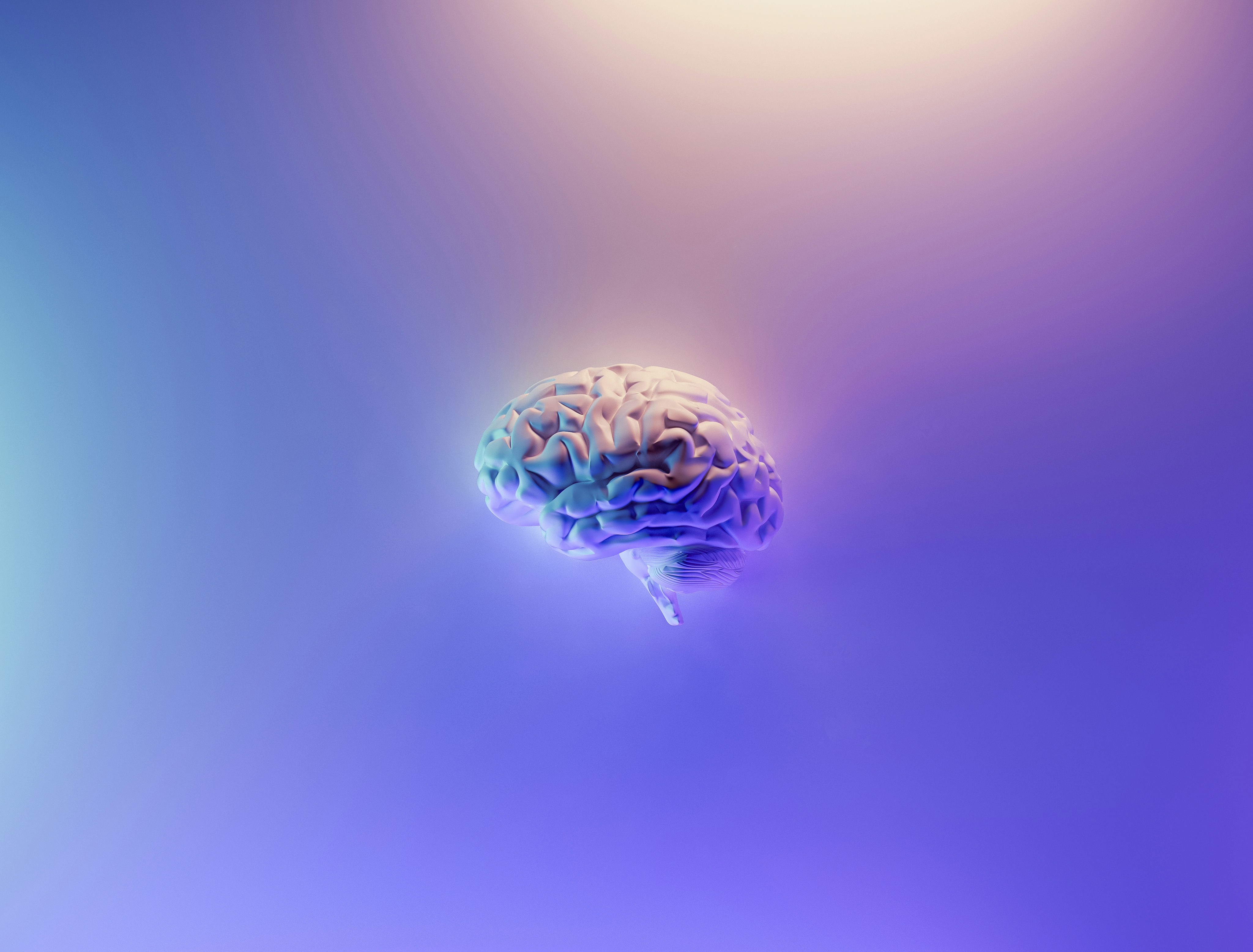 Brain Health is Bigger Than Memory